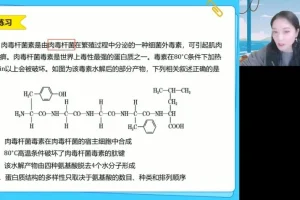 高一生物必修一系统精讲班：细胞结构与功能全突破
