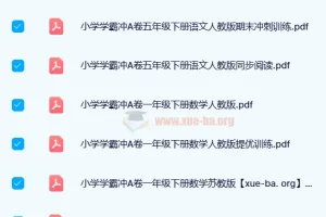 2024年春季小学学霸冲A卷