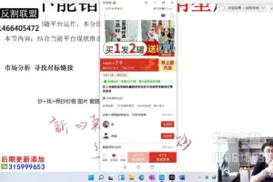 拼多多爆款运营实战课：市场分析、推广优化与自然流量提升