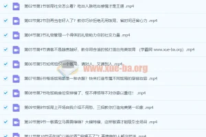 餐桌社交全攻略：28节课教你会说话、会办事、办成事