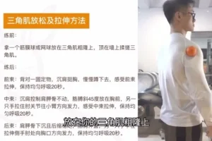 小萝卜四分化健身入门：零基础全身训练指南