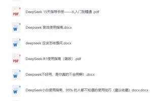 《DeepSeek全系资源：使用指南、提示词秘籍与本地部署》