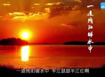 芝麻学社四年级语文上册动画同步课程