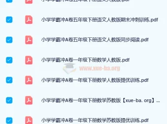 2024年春季小学学霸冲A卷