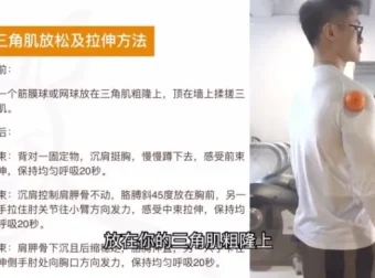 小萝卜四分化健身入门：零基础全身训练指南