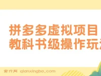 拼多多店铺虚拟项目：教科书式操作玩法，助你轻松月入1000+