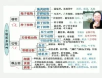 初二生物春季精讲课程-13讲全解析