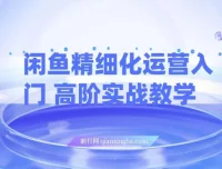 闲鱼精细化运营入门与高阶实战教学：闲鱼卖货整体运营思路课程