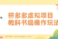 拼多多店铺虚拟项目：教科书式操作玩法，助你轻松月入1000+