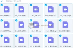 白马老师115节诗词课