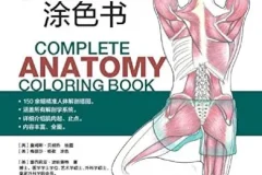 《完全人体解剖涂色书》：150余幅精准插图涵盖所有解剖学系统