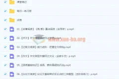 初三中考语文暑假冲顶班（柳宁）