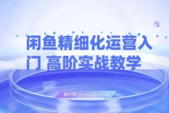 闲鱼精细化运营入门与高阶实战教学：闲鱼卖货整体运营思路课程