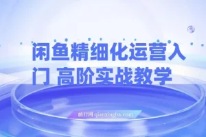 闲鱼精细化运营入门与高阶实战教学：闲鱼卖货整体运营思路课程