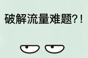 破解流量难题：构建私域流量池，掌握营销引流秘籍