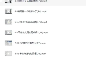 黑客必学：网络逆向破解全程课程（入门班+中级班+专业班）