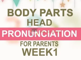 时光企鹅英语口语课：零基础开口说英语