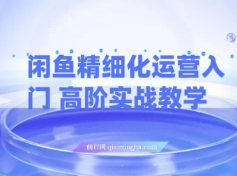 闲鱼精细化运营入门与高阶实战教学：闲鱼卖货整体运营思路课程