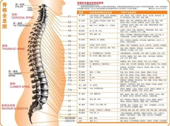《最全高清人体穴位图及穴位图解大全》