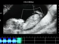 抖音快手无人直播胎教助眠全攻略：教程、软件与素材合集