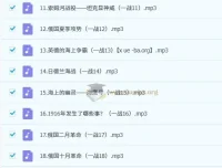 王芳讲一战二战音频课