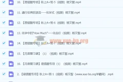 2024初三中考化学杨雯智A+暑假班