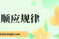 把握十年一遇市场机遇，转换思维顺势前行