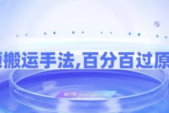 视频搬运手法教程：百分百过原创，可起号变现