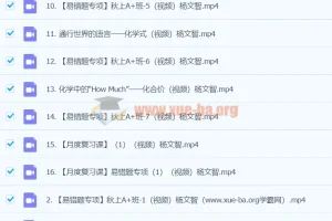 2024初三中考化学杨雯智A+暑假班