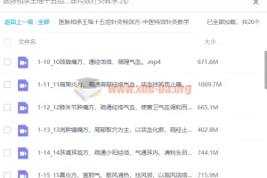 医脉相承王瑶十五组针灸特效方：中医特效针灸教学