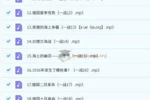 王芳讲一战二战音频课