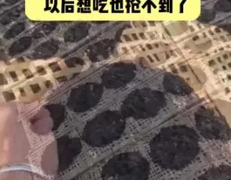 李鲆《短视频带货实战指南：从入门到爆单》