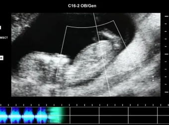 抖音快手无人直播胎教助眠全攻略：教程、软件与素材合集