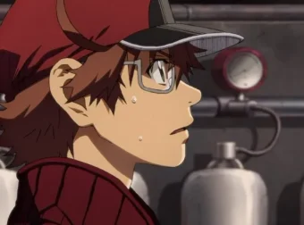 《工作细胞》全系列动画：三季35集+中配版+BLACK版