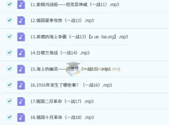 王芳讲一战二战音频课