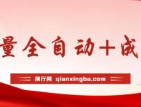 公众号付费文章：流量与成交全自动保姆级玩法