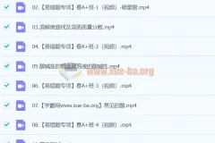 2024初三中考化学杨雯智A+寒假班