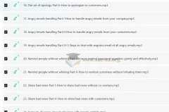 Wise Email Writing商务英语邮件写作系列课程