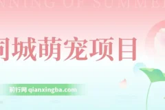 同城萌宠项目教程：用冷门玩法冲击热门市场