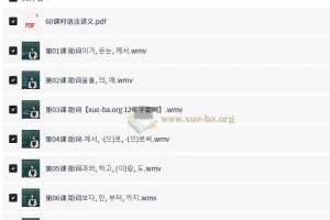 韩语初中级语法60课时课程