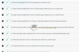 Wise Email Writing商务英语邮件写作系列课程