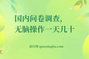 国内问卷调查实操：无脑操作日赚50+