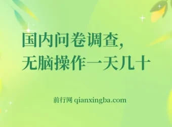 国内问卷调查实操：无脑操作日赚50+