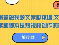 爆款短视频文案脚本课：从根本提升创作能力，掌握流量密码