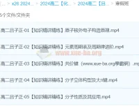 吕子正高二化学寒假班课程