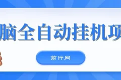 无脑全自动挂机项目：单账号日利润150+，可批量矩阵操作