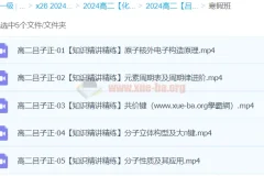 吕子正高二化学寒假班课程