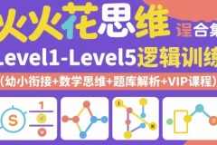 火花思维Level1 – Level5逻辑训练课程合集（幼小衔接+数学思维+题库解析+VIP课程）