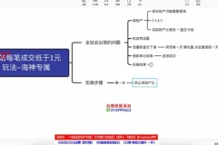 拼多多直通车高投产玩法：搜索+场景+全站推广实战课程