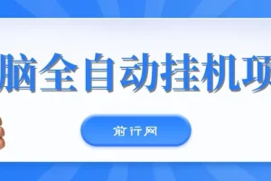 无脑全自动挂机项目：单账号日利润150+，可批量矩阵操作